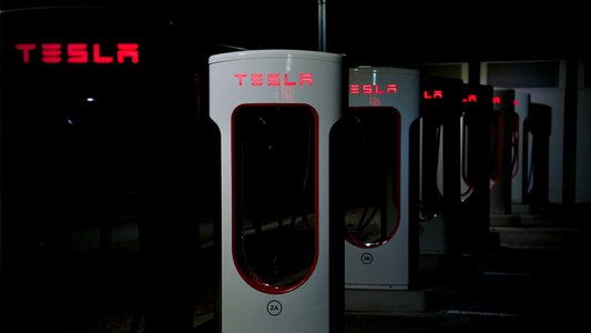 Tesla Just Entered India, But At Double the Price?