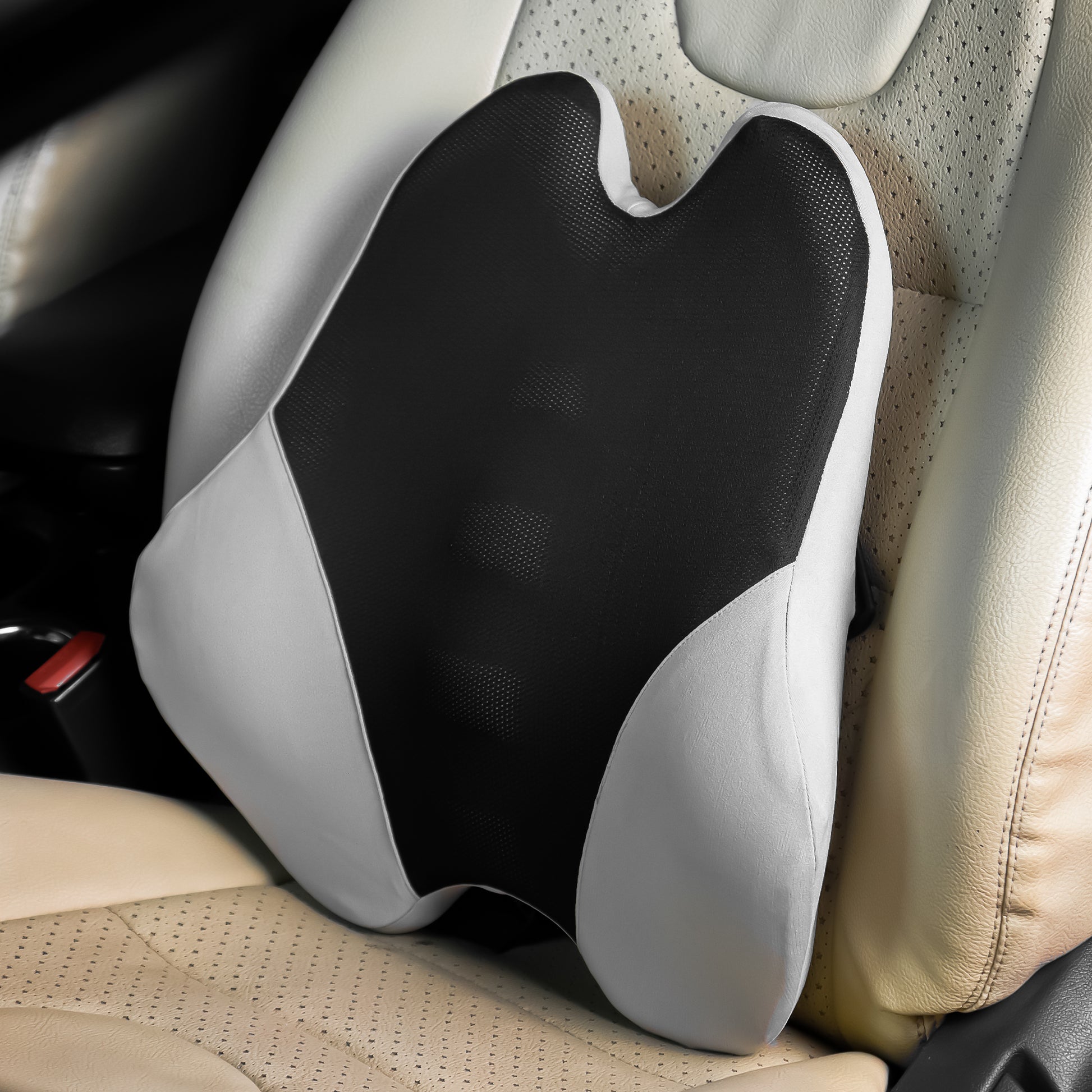 CAR101 Back Rest Elite
