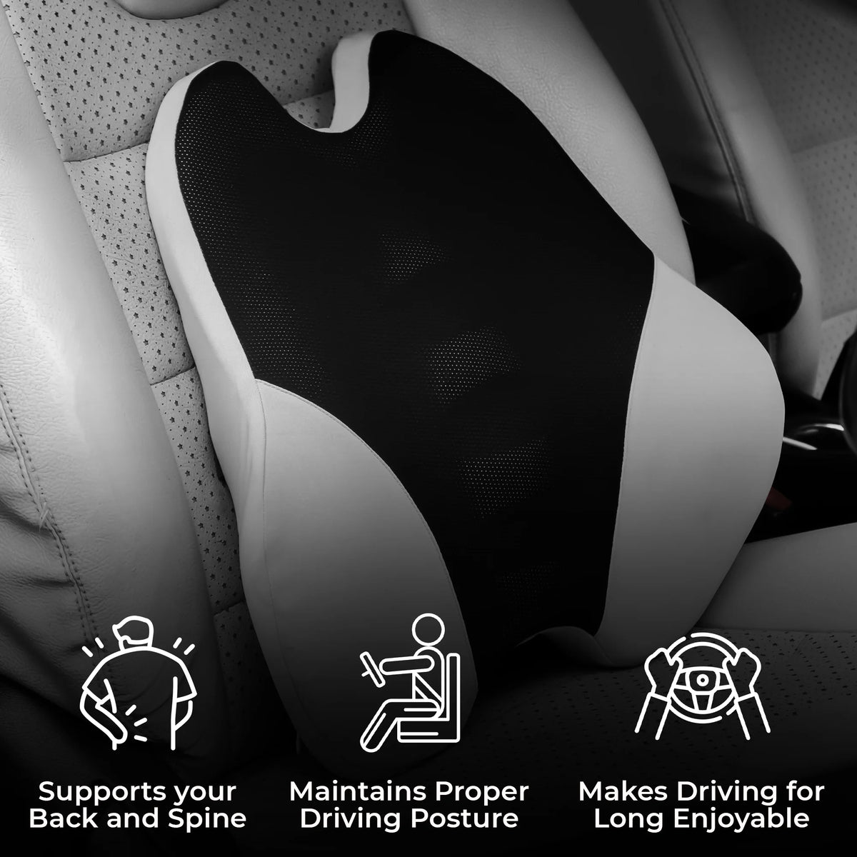 CAR 101 Comfort Combo