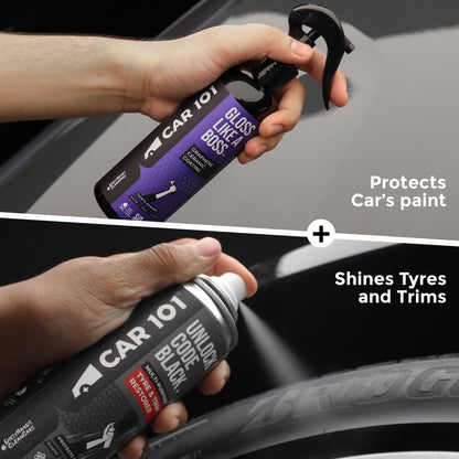 CAR101 Shine & Shield Combo