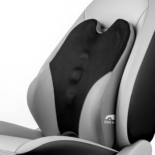 CAR101 Back Rest Elite